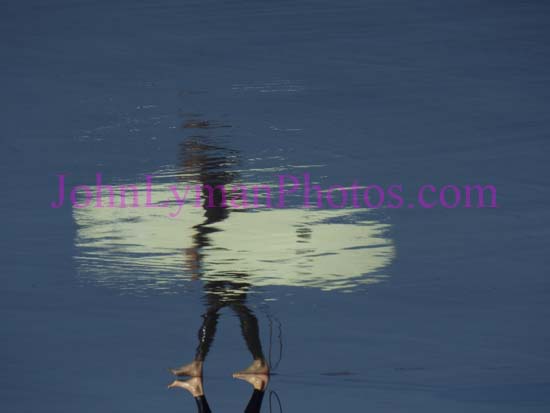 DSCF8185