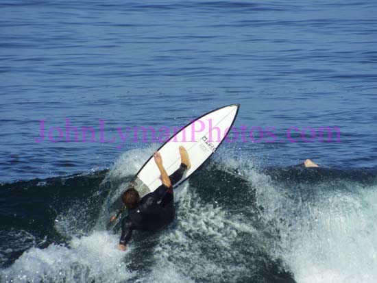 DSCF8831