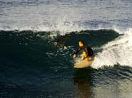 DSCF3048