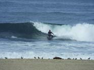 DSCF3182
