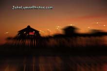 _M060471 Blur