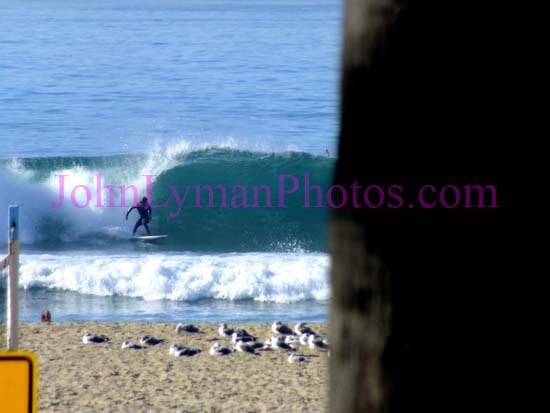 DSCF5577