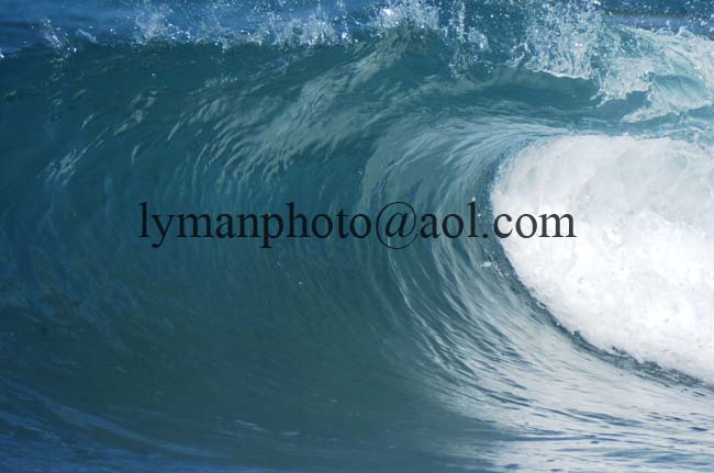 Negra Shorebreak