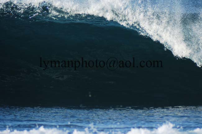 Tamarindo Rivermouth